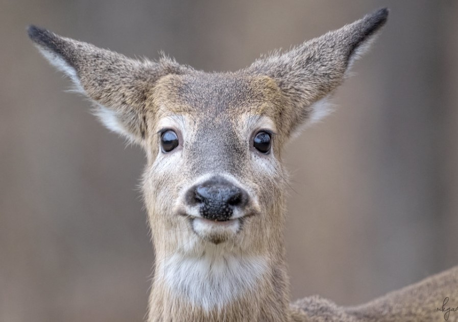 The face you make when you get to the office on Monday morning and your brain asks "We remembered to turn the coffee pot off before we left... right??" 😐