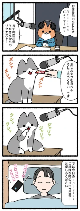 猫のラジオ番組 