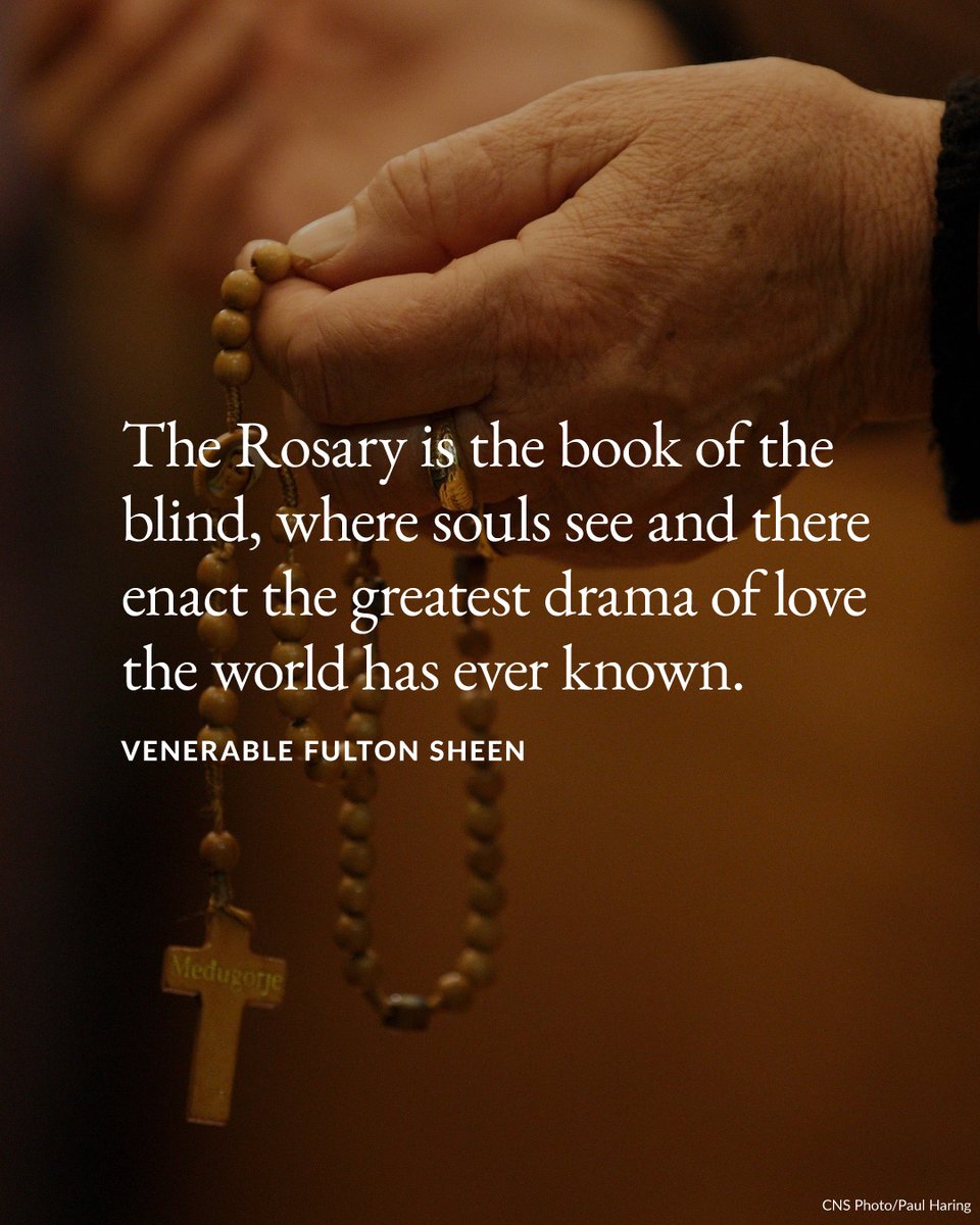 U.S. Conference of Catholic Bishops tweet media