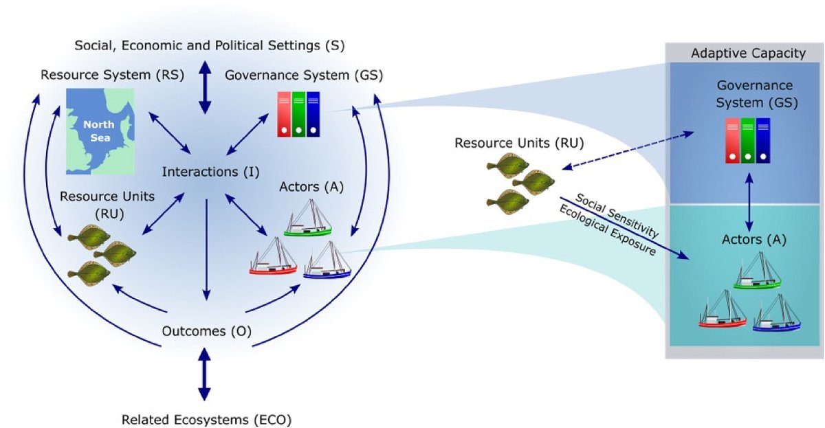 🚨Paper Alert🚨

Exploring #AdaptiveCapacity of fisheries to #GlobalChange:

Adaptation: changes of target species, fishing strategies, number of actors

Barriers to adaptation: prevailing fishing cultures, governance structures, and spatial use conflicts

doi.org/10.1016/j.ocec…