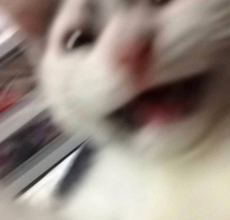 Aaaaaaaaaaa~~~~~~~

ઇଓ #BuildJakapan #Beyourluve ♡  <a href="/JakeB4rever/">BIU.</a> ( ˄·͈༝·͈˄ )