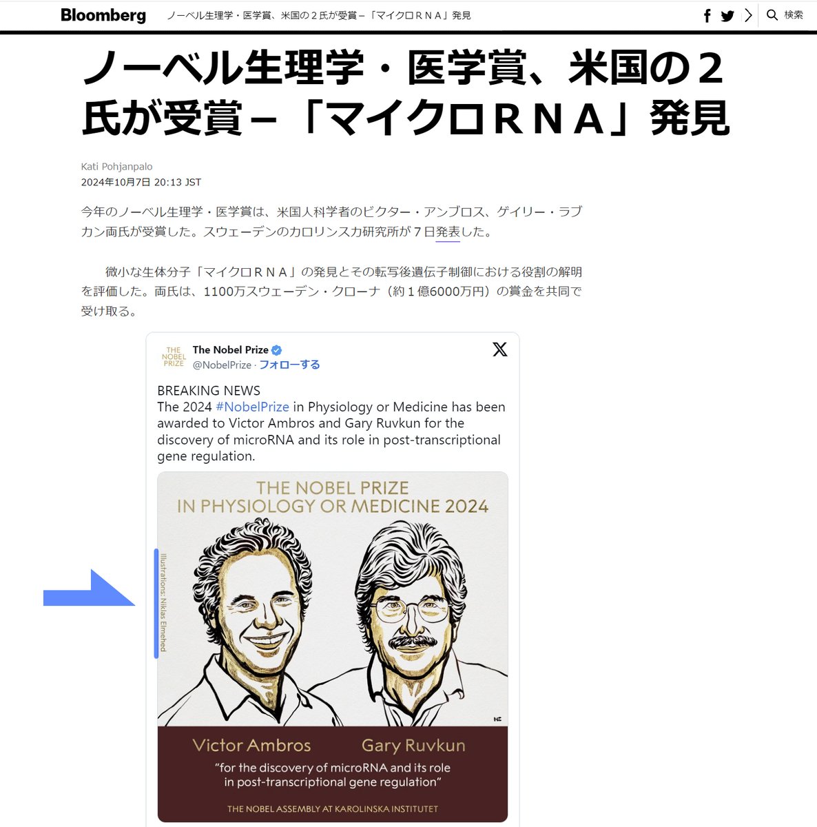 作家への配慮があることを、ユーザーフレンドリーになぞらえてクリエーターフレンドリーと呼んでまして、
度々そんな例を紹介してます。

そしてさっき気付きました。ノーベル財団は、クリエーターフレンドリーで最高。

画像にクレジットを記載してる。 