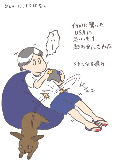 うさぎに与えられる痛みは全て幸せな痛み

#うさぎのいる生活 