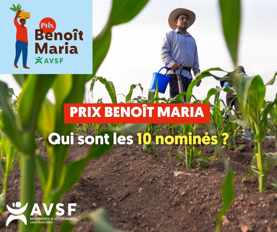 📢 𝐏𝐫𝐢𝐱 𝐁𝐞𝐧𝐨𝐢̂𝐭 𝐌𝐚𝐫𝐢𝐚 : 𝐪𝐮𝐢 𝐬𝐨𝐧𝐭 𝐥𝐞𝐬 𝟏𝟎 𝐧𝐨𝐦𝐢𝐧𝐞́𝐬 ?
Pratiques agroécologiques, création de marchés paysans, transformation de fruits et légumes, empowerment des femmes et des jeunes : découvrez les 10 projets en lice !
👉 avsf.org/prix-benoit-ma…