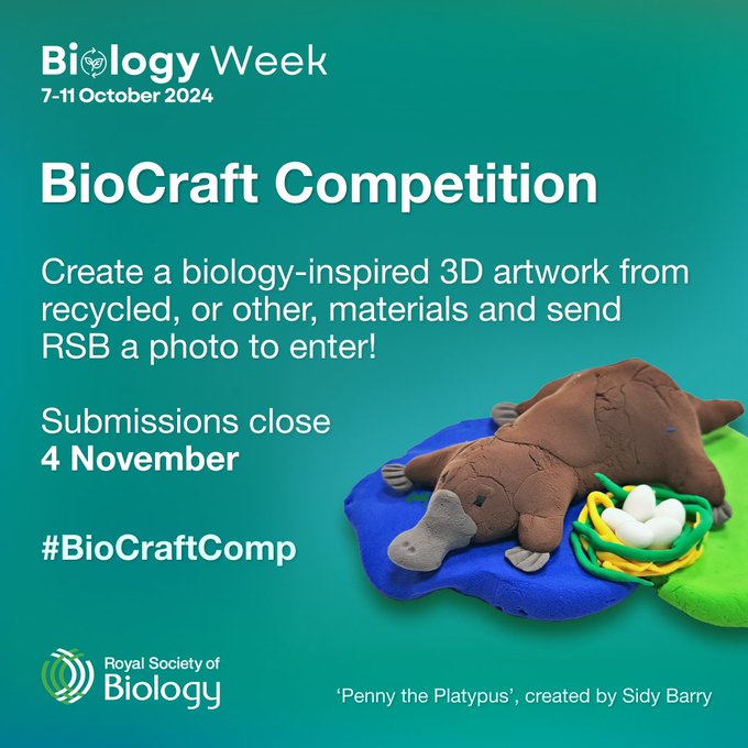#BiologyWeek starts today! 

Combine art and science by creating a biology-inspired sculpture for our BioCraft Competition 

rsb.org.uk/biocraft #BioCraftComp