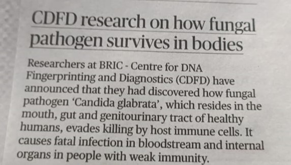 BRIC_CDFD's tweet image. Press coverage of the publication of Dr. Rupinder&apos;s lab. in EMBO Reports.

#candida #fungalpathogen 
@DBTIndia @UllasKolthur 

thehindu.com/news/national/…. 

hyderabadmail.com/cdfd-researche…