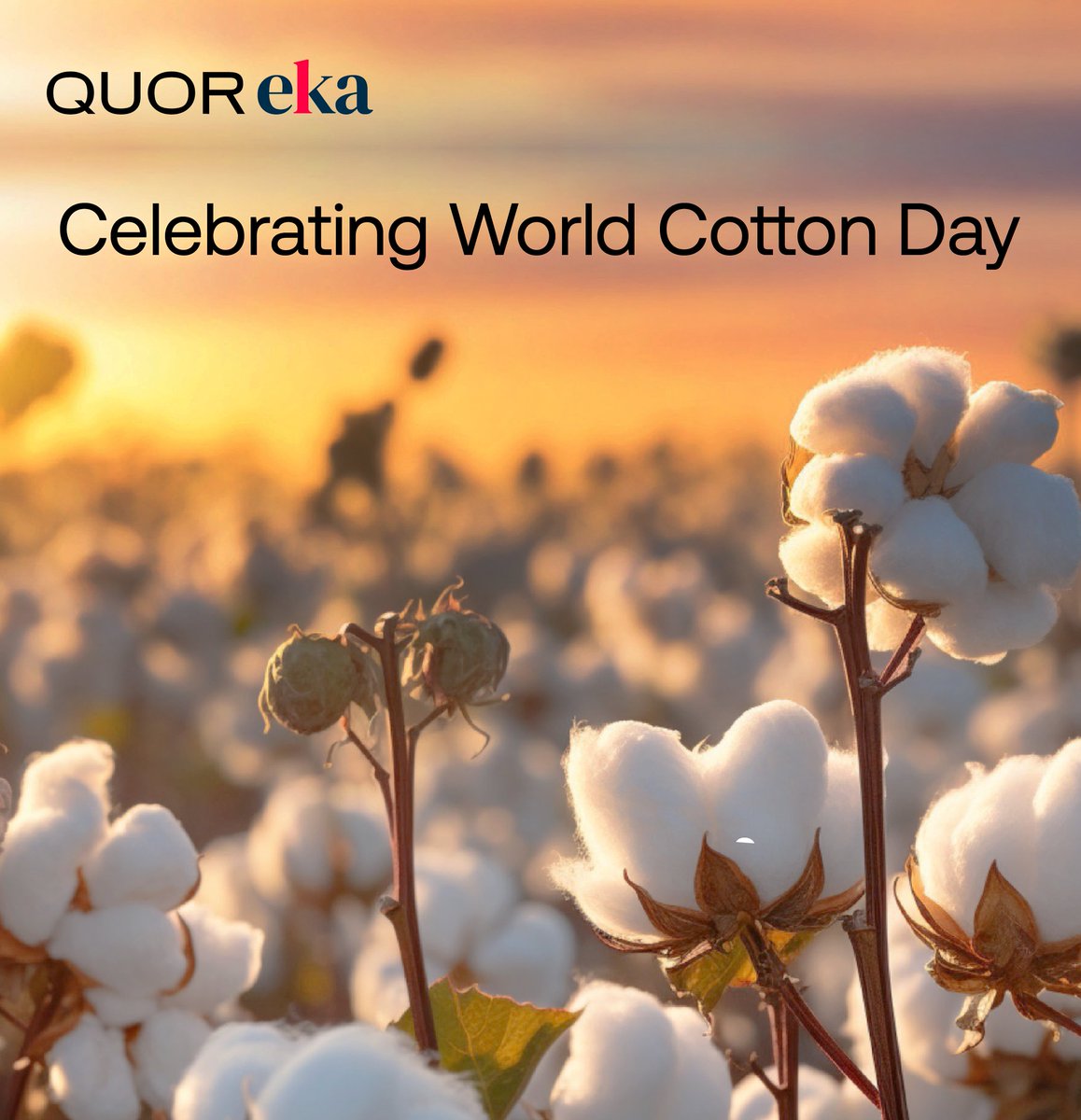 Eka Software Solutions (@ekasoftware) on Twitter photo As we honor cotton's vital role in the global economy, here are some key insights:
Global Production of cotton is expected to grow by 2.5% and consumption is projected to rise by 3.0%.
From fashion to agriculture, cotton continues to shape industries and livelihoods worldwide. As we honor cotton's vital role in the global economy, here are some key insights:
Global Production of cotton is expected to grow by 2.5% and consumption is projected to rise by 3.0%.
From fashion to agriculture, cotton continues to shape industries and livelihoods worldwide.
