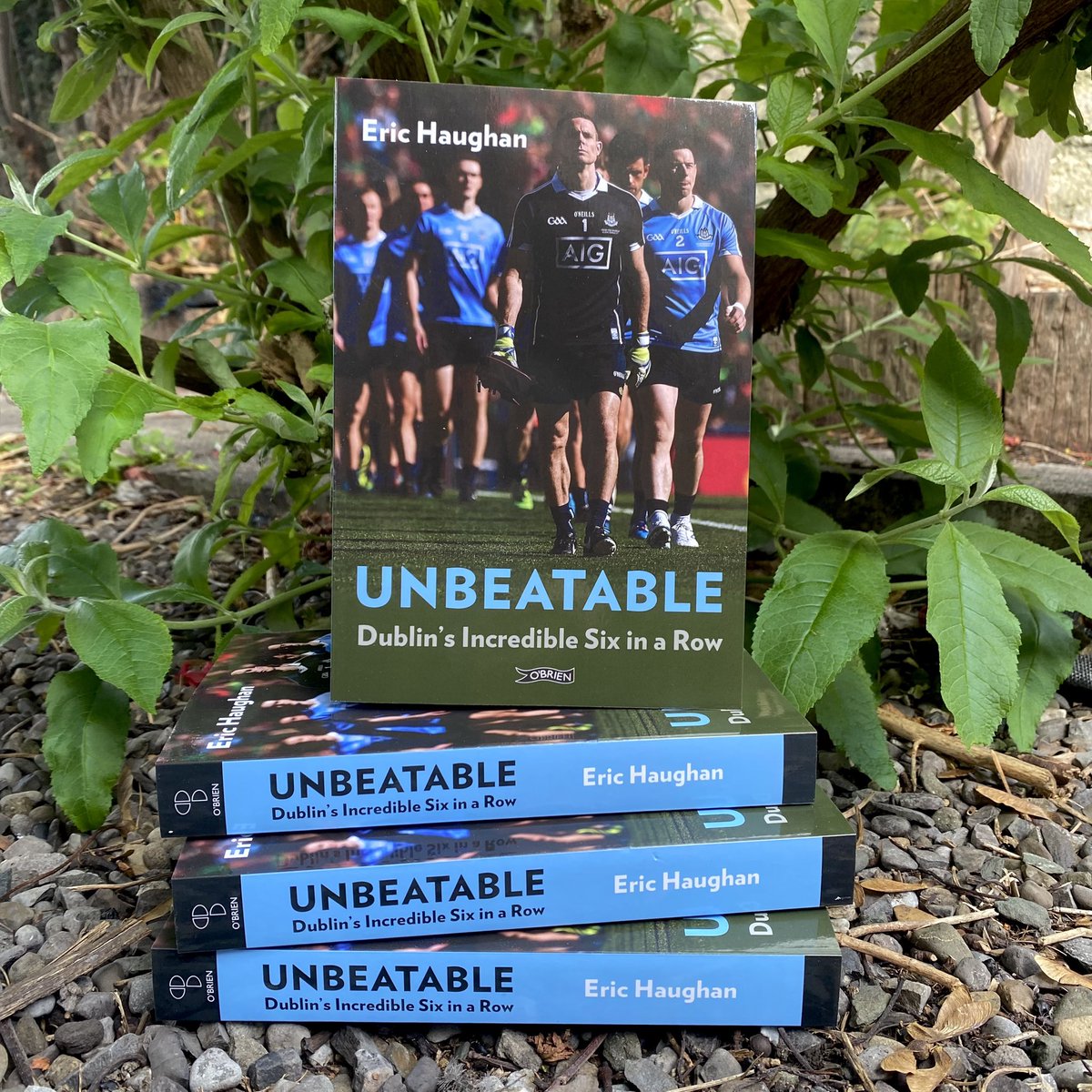 The O'Brien Press tweet media