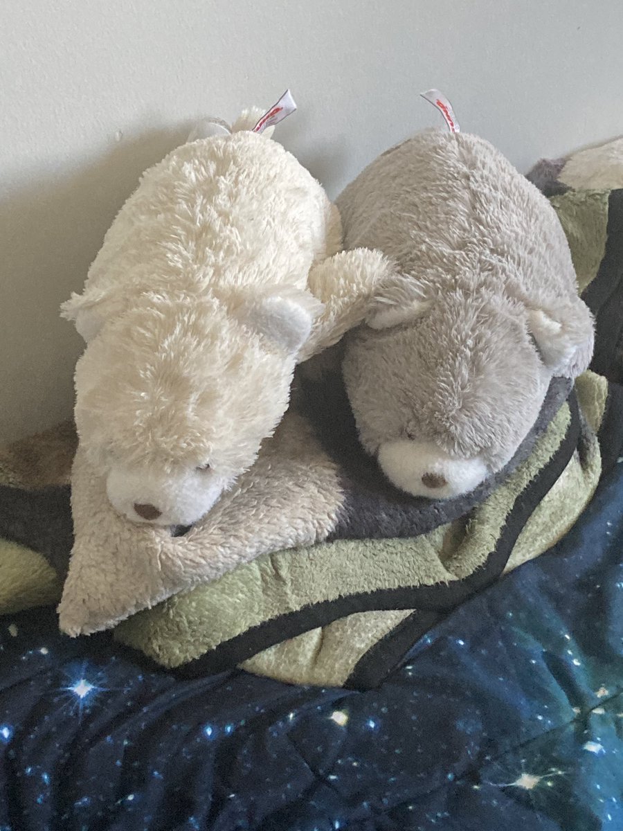 Bloo/Alix 18+π¨π¦ (Comms open! 2/4) (@bloosarts) on Twitter photo Too much junk on the TL. 
Have my favourite bear friends as a way to clear your minds from the crap. 
Today, We are not Bloo. 
We are Smol.
Btw theyβre names are Steak (Grey) and Fries (White)
This is all :3 Too much junk on the TL. 
Have my favourite bear friends as a way to clear your minds from the crap. 
Today, We are not Bloo. 
We are Smol.
Btw theyβre names are Steak (Grey) and Fries (White)
This is all :3