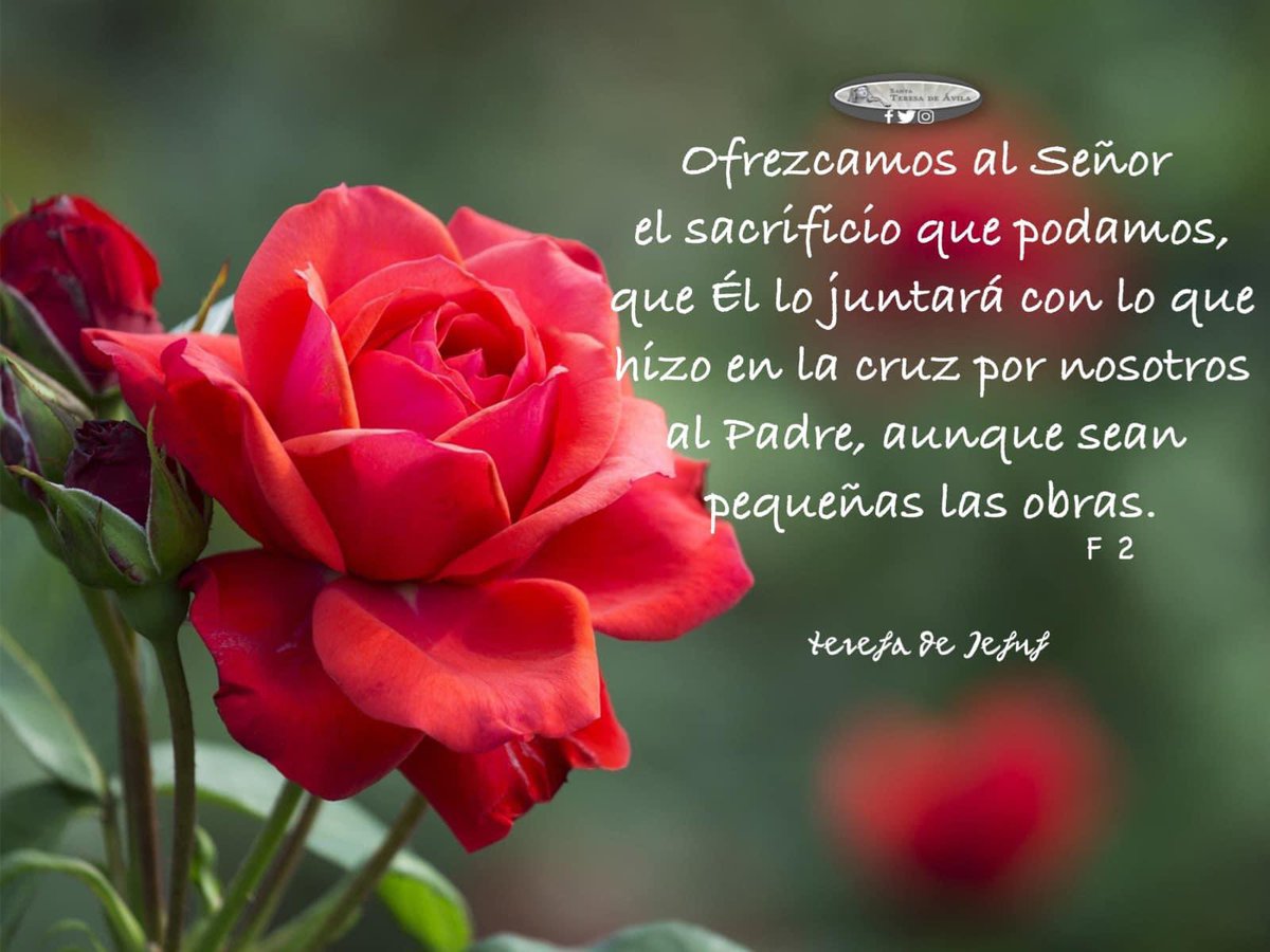 StTeresadeAvila's tweet photo. https://t.co/ffmE18xFJv