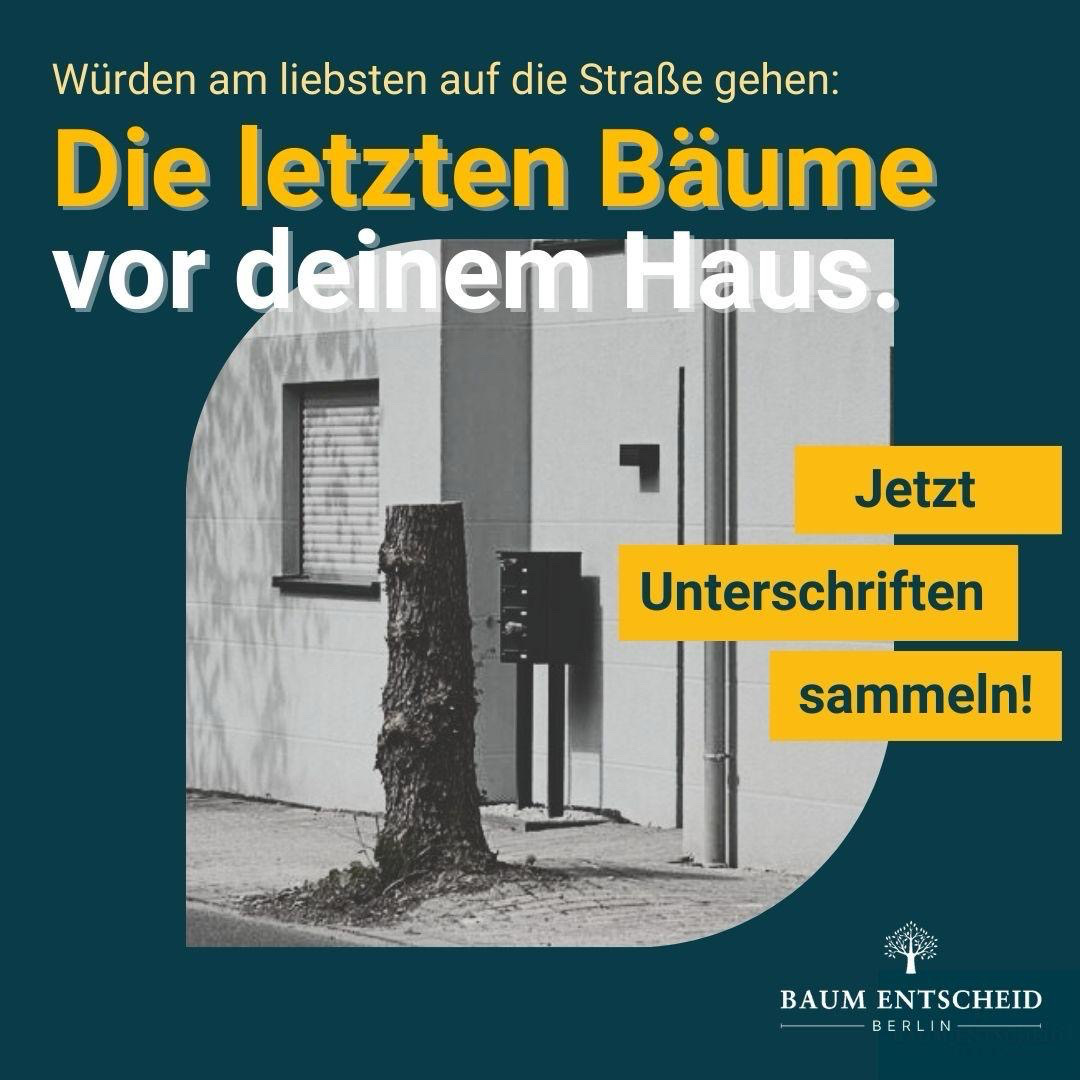 baumentscheid's tweet photo. 🔥 Sammelstart! 🔥

📅 Ab #heute sammeln wir Unterschriften, um unser #Klimaanpassungsgesetz zum Volksentscheid zu bringen. 

So wollen wir Berlin wetterfest und hitzesicher machen - bist du dabei?!🌳

✍️ Wie du unterschreiben &amp; mitmachen kannst: https://t.co/0u8DWjPh9Z https://t.co/QmfE6pQd2U