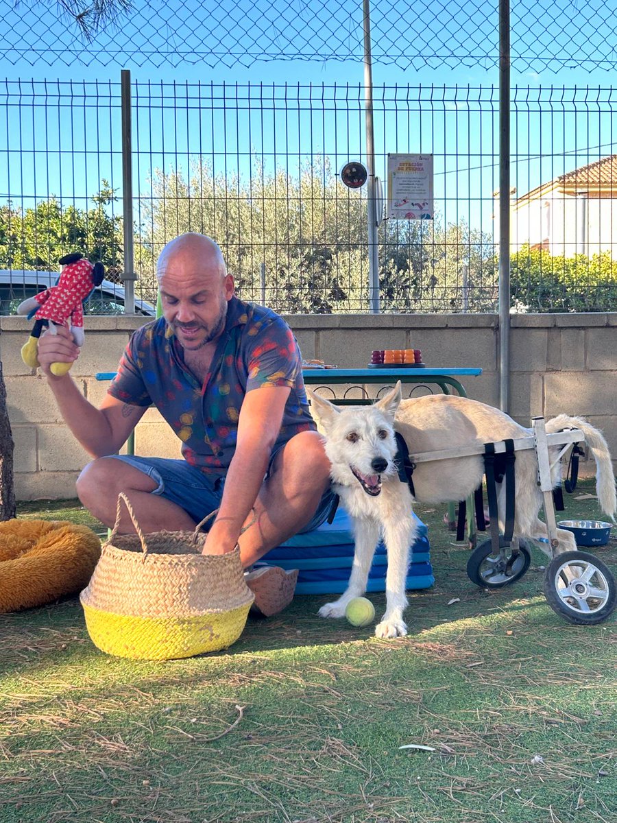 Este viernes, coincidiendo con el #diamundialdelosanimales nuestro compañero ha traído a su perrita Moma para contar si historia y concienciar sobre el abandono animal.