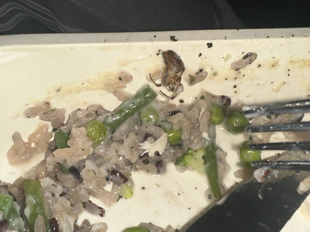 AimeeFoster92's tweet photo. @Morrisons just found this half way through eating a nourish meal 🤢 https://t.co/hMBHb2ncAu