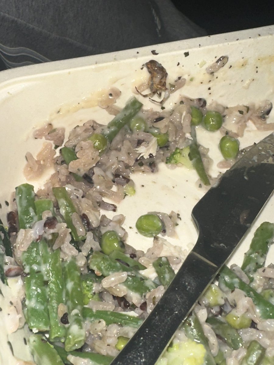 AimeeFoster92's tweet photo. @Morrisons just found this half way through eating a nourish meal 🤢 https://t.co/hMBHb2ncAu