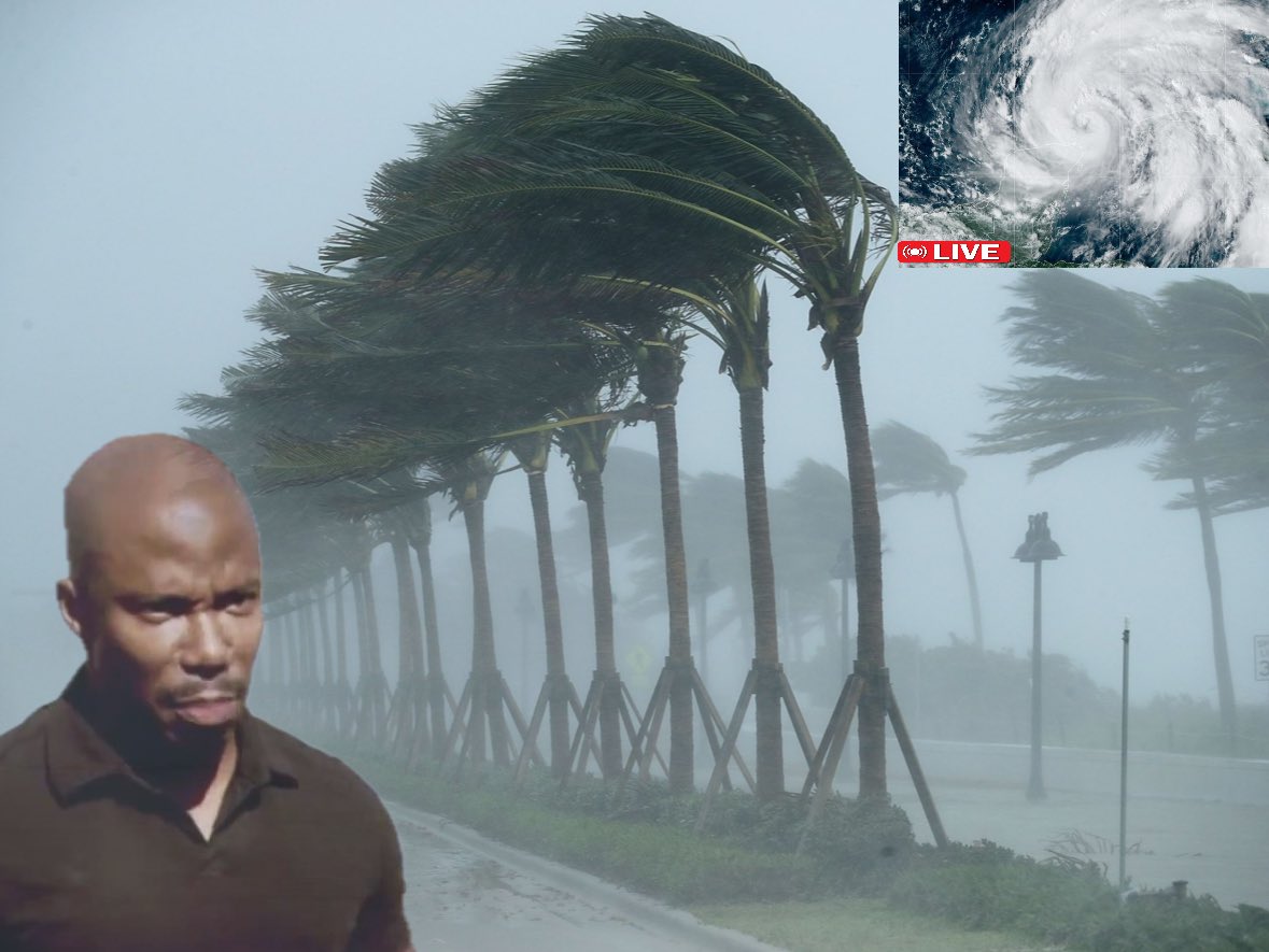 Dolphins Won. 

God: