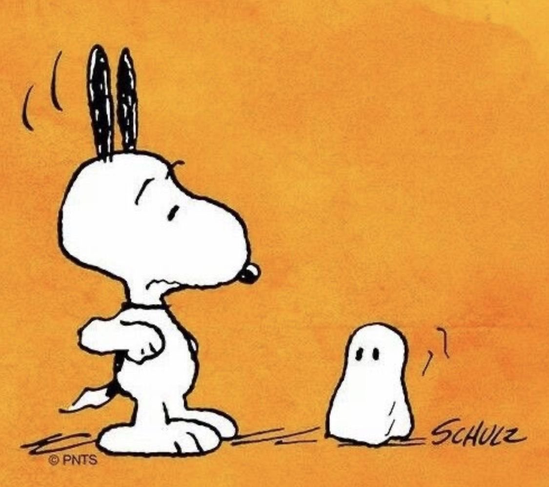 DailySnoopys's tweet image. 