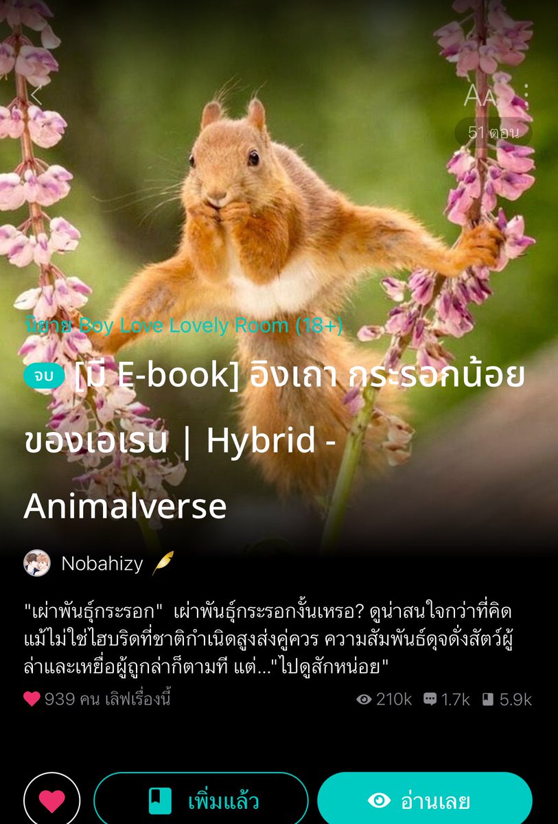 อ่านนิยายกับคุณส้ม🏳️🌈📚 tweet media