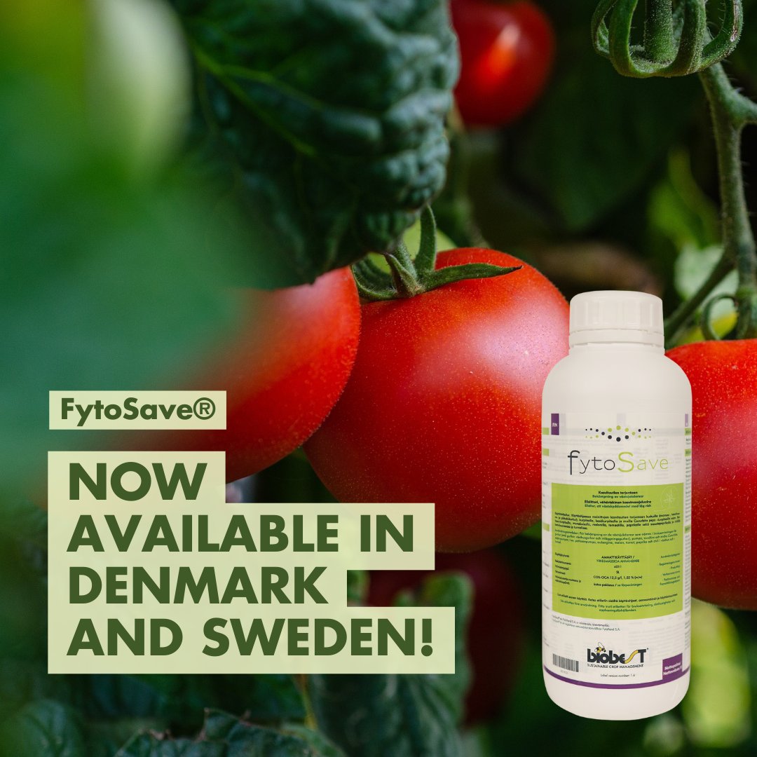 🚀 Big News! FytoSave® is now available in Denmark &amp; Sweden! This biofungicide boosts plants' natural defenses against mildew, with no residue left behind. 🌱 It reduces the need for chemical fungicides and supports sustainable farming across Scandinavia!

 #fytosave #biobest