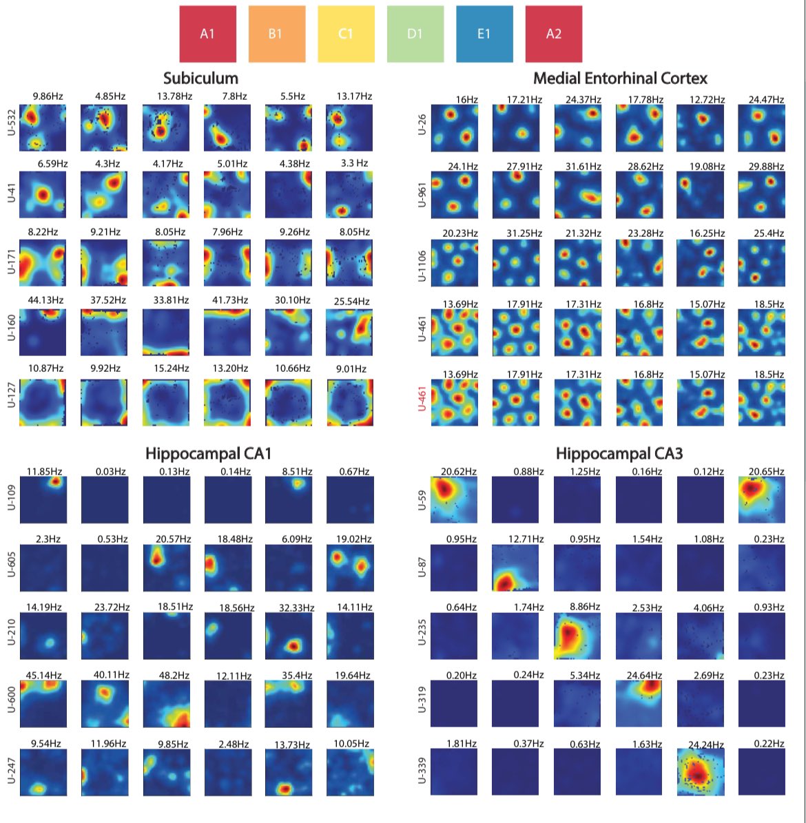 JCarpenter___'s tweet image. Come check out Moser group posters today at SFN!! ❤️We have: NPX, mini2P, recordings across HPC-EC circuit, remapping, ontogeny of torus, sweeps, all-optical stim, time coding, grid cell hot spot maps, LEC, RSC, SUB &amp;amp; minute scale oscillations!

8:00 AM-12:00 PM 

190.01-190.11