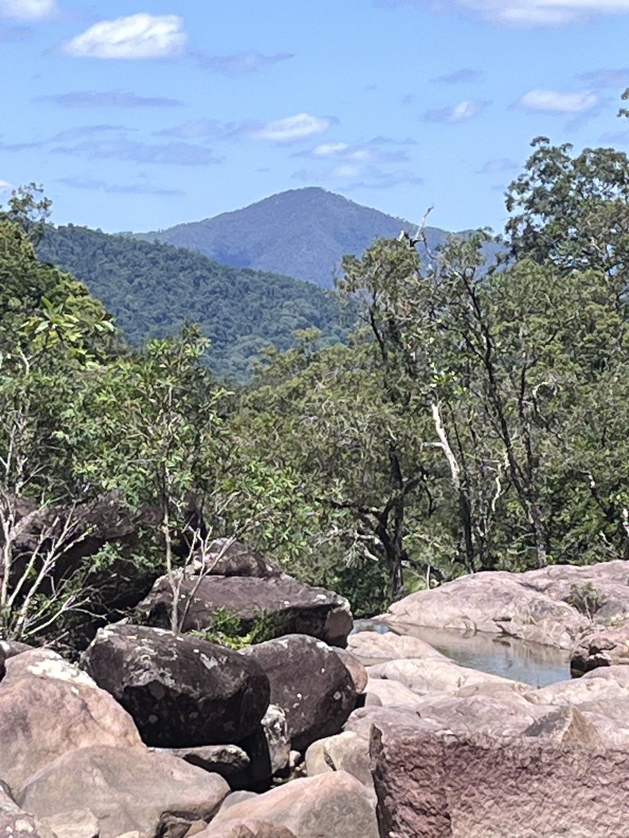 Gillian Broderick tweet media