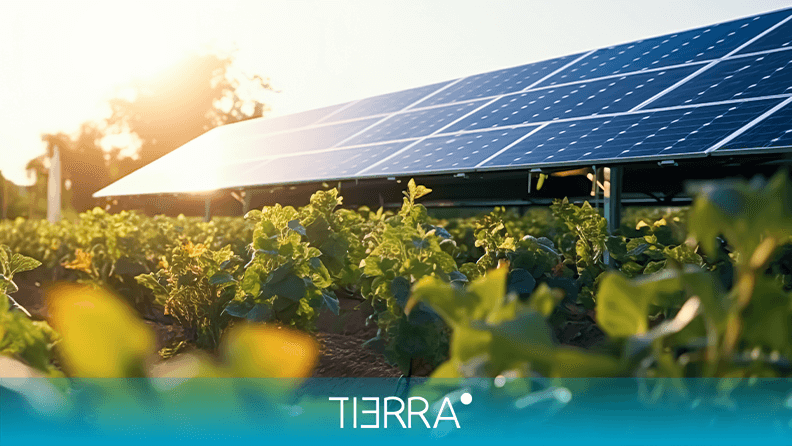 ADNAgroFood's tweet photo. TRANSICIÓN ENERGÉTICA ⚡| Nuestro compañero Fran Castillo (@Agroequilibrio) nos cuenta las nuevas propuestas del Banco Europeo de Inversiones para impulsar la #TransiciónEnergética en el sector agroalimentario

#Agrivoltaica #Renovables #Eólica  

https://t.co/PACm4yUZoG https://t.co/Am86BhgJOe