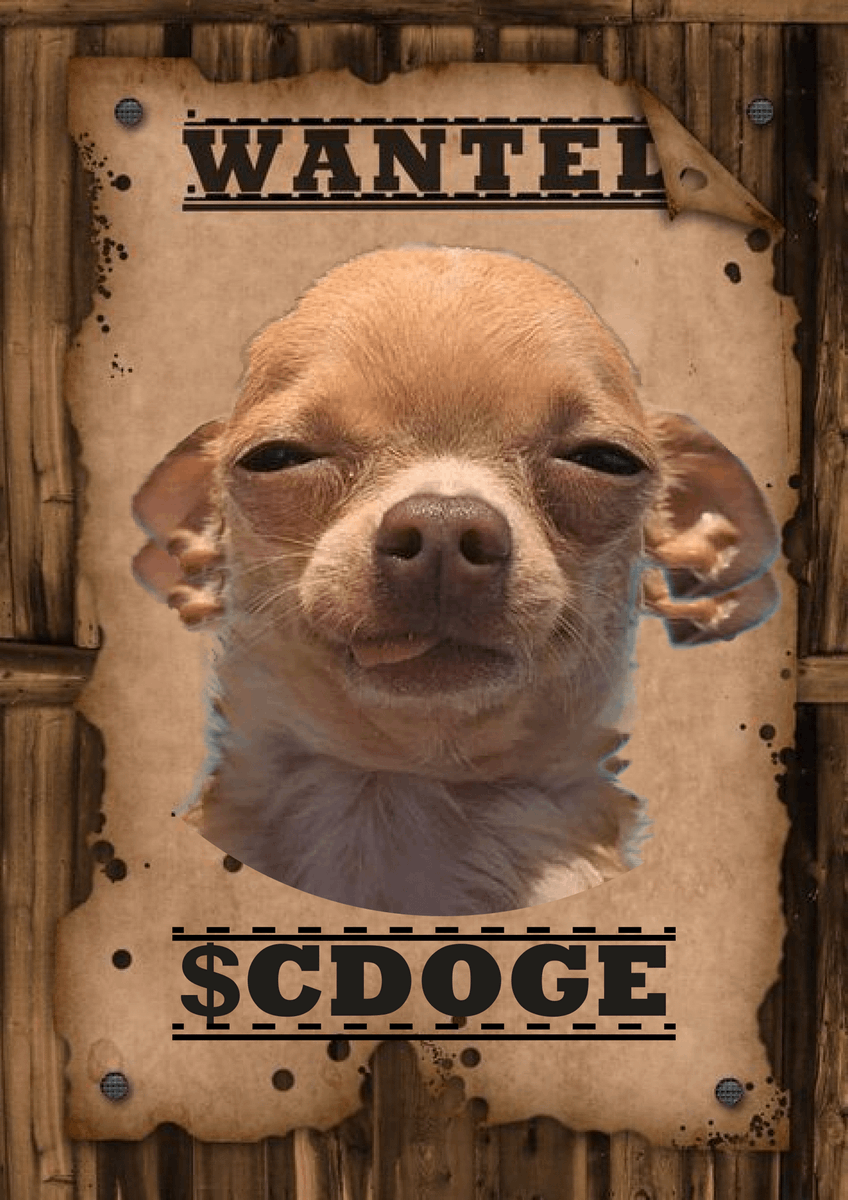 CDOGE tweet media
