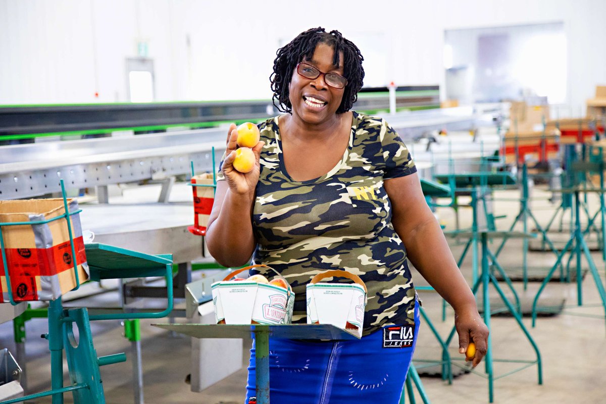 More than a Migrant Worker tweet media