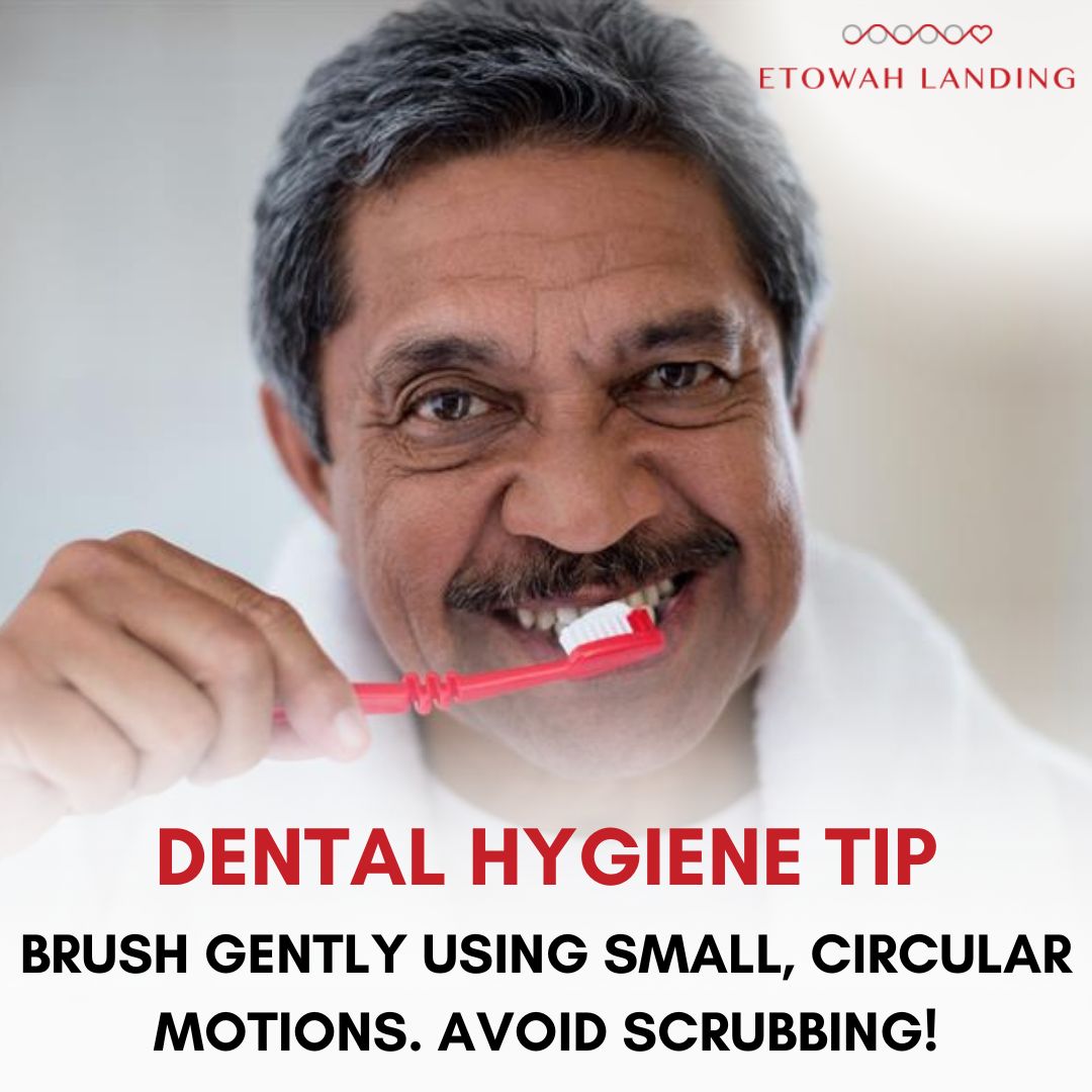 etowahlanding's tweet image. It's Dental Hygiene Month, so we're sharing tips to keep your pearly whites looking their best! Want to know more about the dental services we offer at Etowah Landing? Reach out to Tamica in Social Services to learn more! #dentalhygienemonth #teethtips #dentalservices