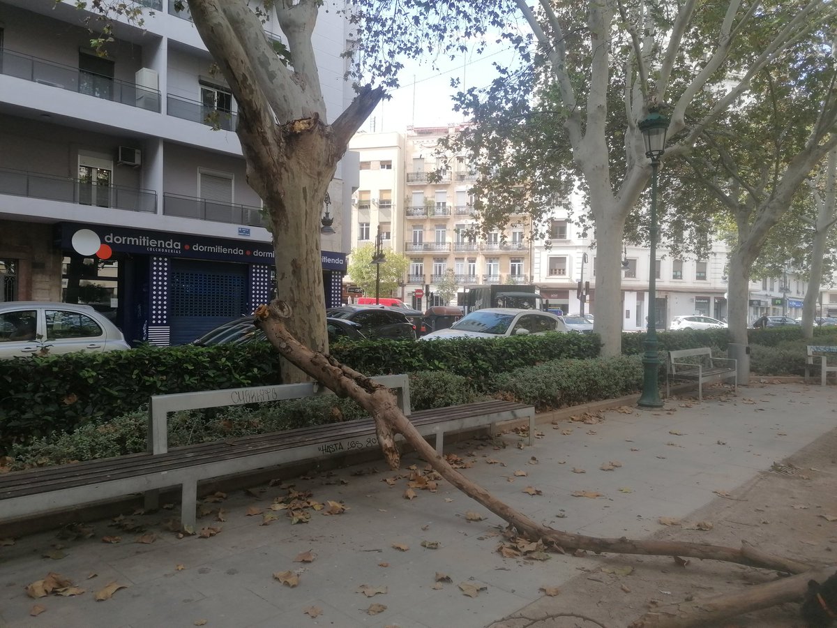 Amparo Cots Cervera tweet media