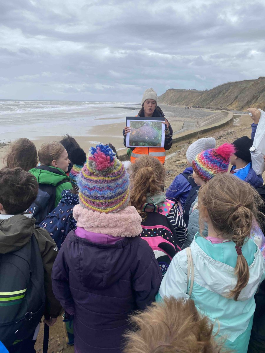 Eaton_Primary's tweet photo. Last week, Year 3 students visited West Runton for their school trip, which coincided with the exciting discovery of a prehistoric mammoth following a cliff collapse. https://t.co/tcEIVwLP8x