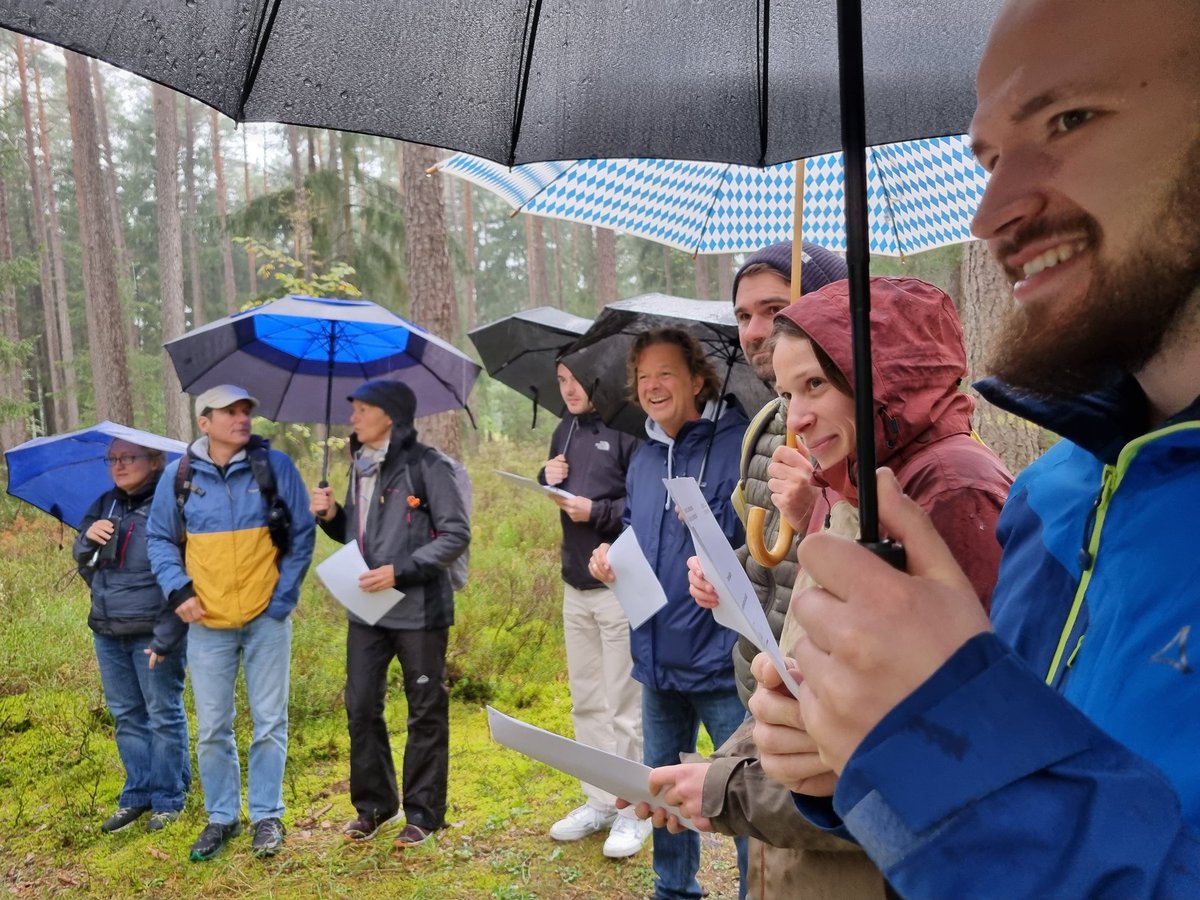 Celebrating ORCA's 10th anniversary in Dinkelsbühl, Bavaria! Gained new perspectives at the forest climate station, enjoyed local food &amp; drinks, and explored the historic Oldtown - it was a memorable milestone!🌲🍻