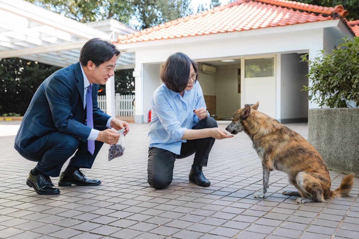 ChingteLai's tweet photo. Wishing you a smooth &amp; successful trip, President Tsai @iingwen, as you speak up for #Taiwan on the international stage. And thank you again for the goodies for Ban Ban &amp; Murphy! https://t.co/6SN4TNbPE7