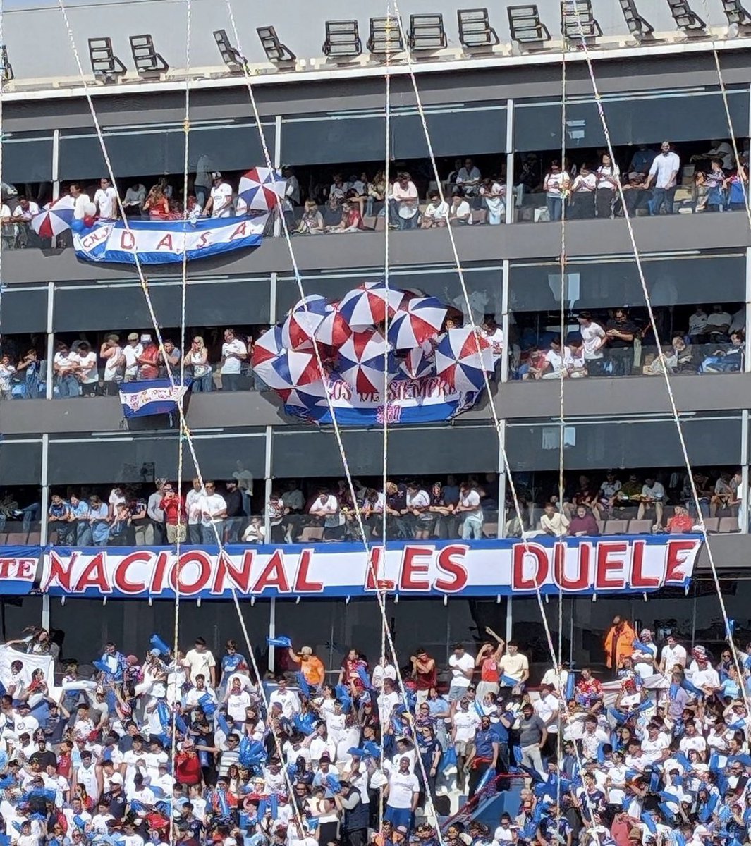 RobotHSS_'s tweet photo. NACIONAL LES DUELE https://t.co/2oGh53qt9O