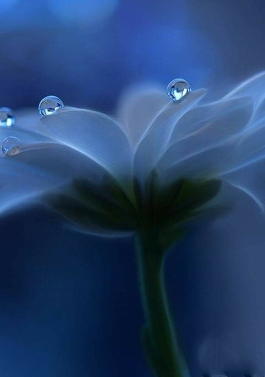 स्पीड ब्रेकर कितना भी
बड़ा क्यों न हो, 
गति धीमी करने से 
झटका नही लगता..!

मुसीबत कितनी भी बड़ी हो, 
शांति से विचार करने पर 
जीवन में झटके नही लगते..!!

👁👁🌹

#शुभ_संध्या🪔🪔, 👉☕☕🌹🌹🙏🙏