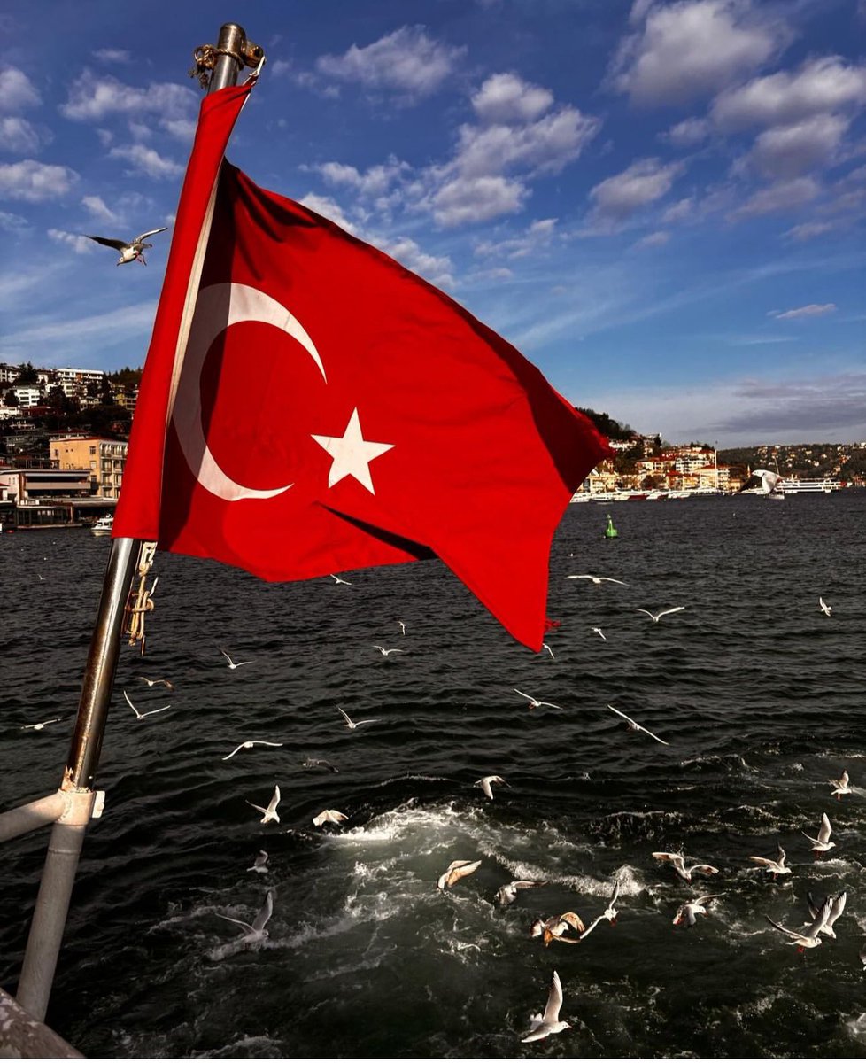 ChittRawad's tweet photo. @istanbulmodern_ 🇹🇷🫡❤️ https://t.co/vPWatHGtdo