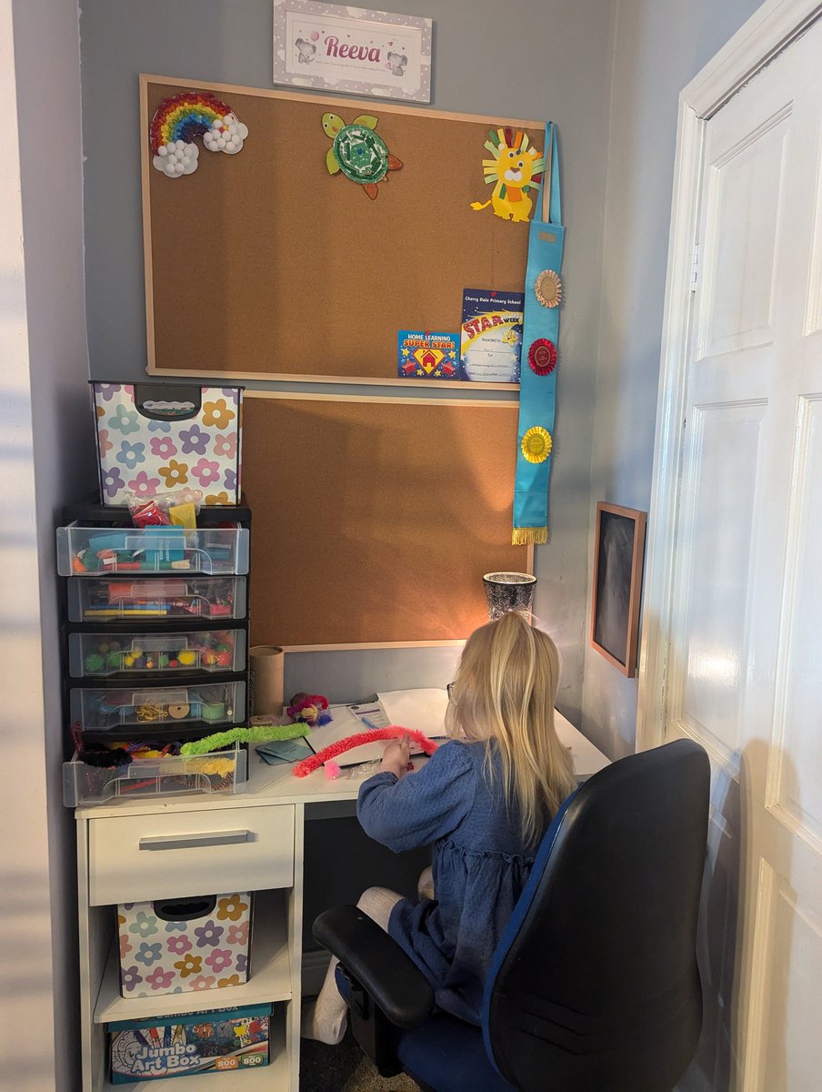 Reeva celebrated her 5th birthday over the weekend, but she still found the time to brush up on her computer skills, science experiments and arithmetic 🌋 🖥️ <a href="/TeamBeesFS2/">Bees</a>