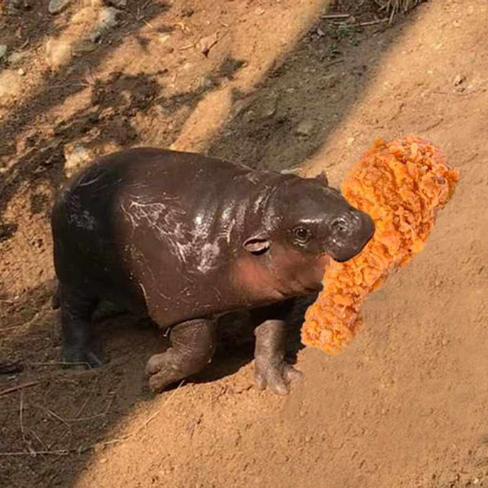 KFC (@kfc_es) on Twitter photo 