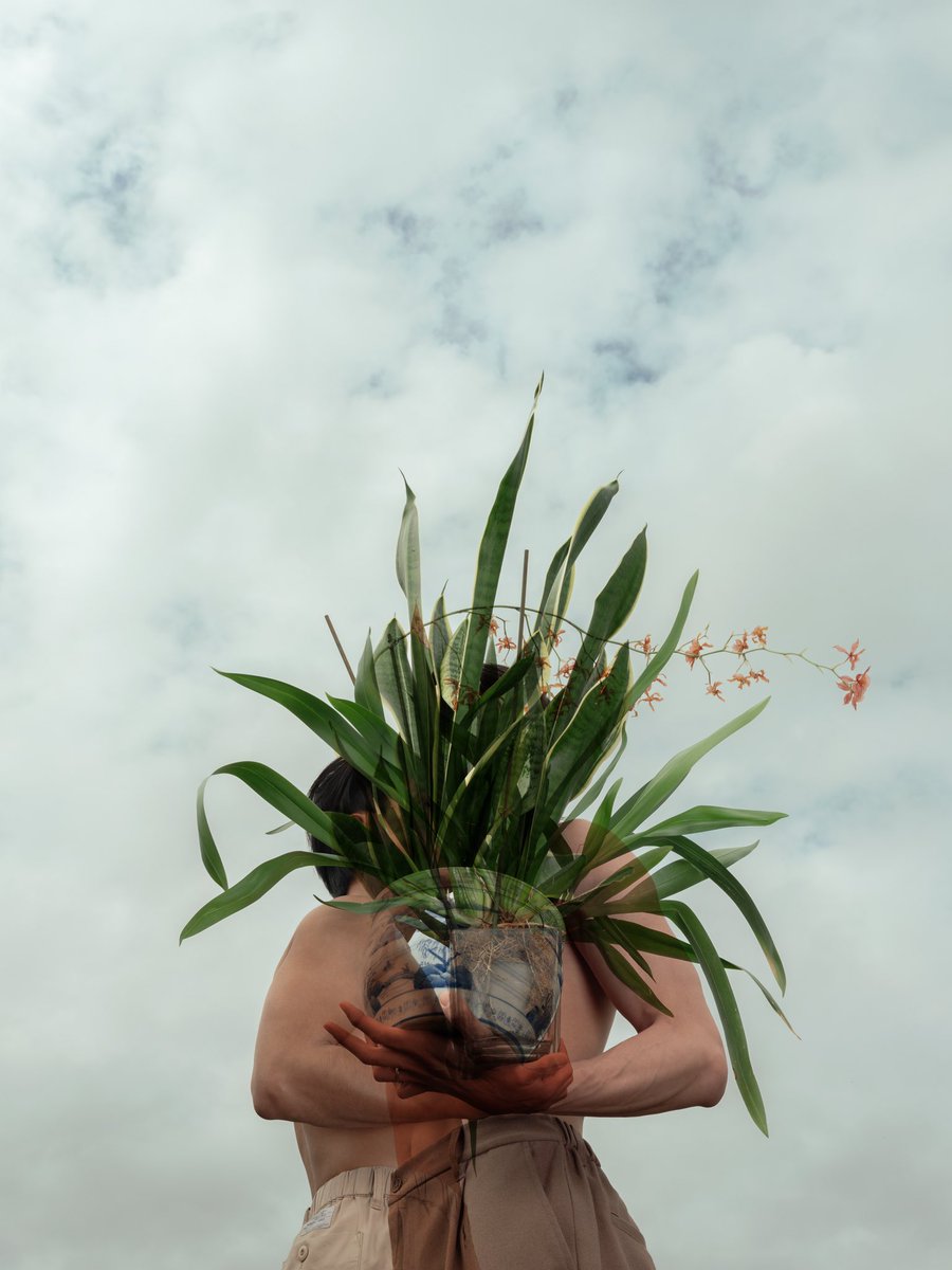 5 more days till Ghost and John’s🌻🦋  ‘Two Plant Gaysians’ - 12 Oct 2024 at @thepleasance London. Quick grab your 🎟! pleasance.co.uk/event/two-plan…
Show #1 4.00pm
Show #2 7.30pm (Post Show Talk moderated by Dr. Boderick Chew)
#theatre #dance #poetry