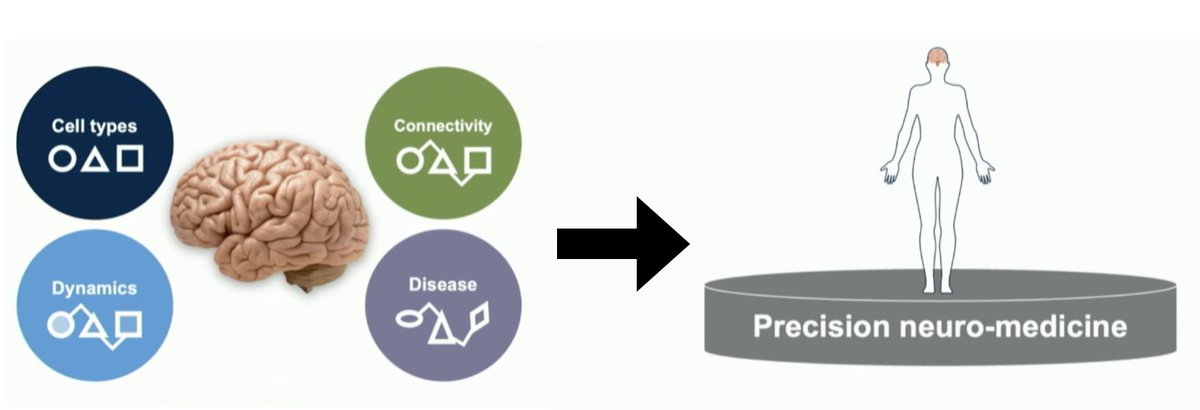 Christian Lüscher (@luscherc) on Twitter photo Stellar <a href="/SfNtweets/">Society for Neuroscience (SfN)</a> lecture by <a href="/ruimcosta/">Rui Costa</a> : Presenting a clear roadmap for a revolution of neurological treatments grounded in rational circuit analysis. The causal integration of the ultra-large data sets is becoming reality! <a href="/AllenInstitute/">Allen Institute</a> Stellar <a href="/SfNtweets/">Society for Neuroscience (SfN)</a> lecture by <a href="/ruimcosta/">Rui Costa</a> : Presenting a clear roadmap for a revolution of neurological treatments grounded in rational circuit analysis. The causal integration of the ultra-large data sets is becoming reality! <a href="/AllenInstitute/">Allen Institute</a>