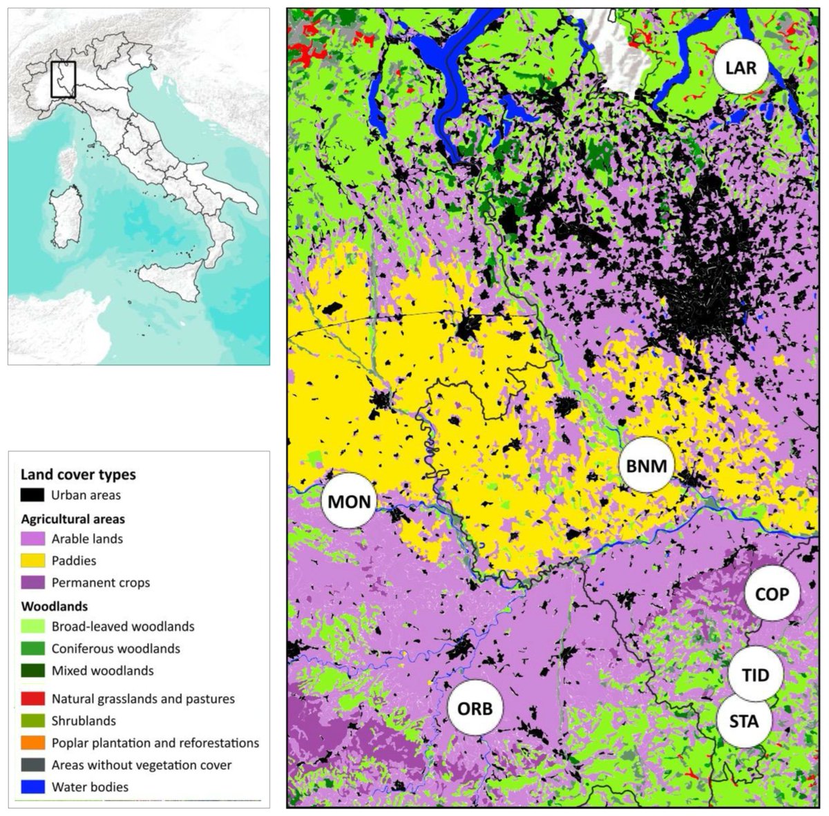 DiversityMDPI's tweet image. 🦡Check this out!
🌲Ecological Adjustments and Behavioural Patterns of the European Badger in North-Western Italy
🌍by Torretta et al
Article Views 242
#EuropeanBadger #BehavioralPatterns #WildlifeEcology #HabitatAdaptation #AnimalBehavior
📊mdpi.com/1424-2818/16/1…
