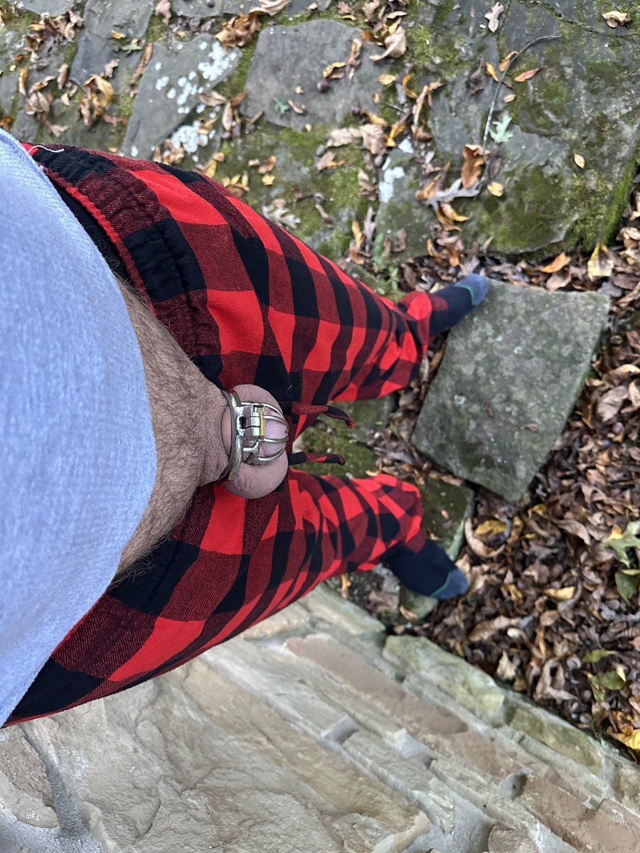 INKinkSwitch's tweet photo. Day 28/?
On a family vacation in the woods for a few days. Still a locked clit for #locktober. #sublife #newnormal #teamlocked @GayChastityRTs https://t.co/eCjkXSTrcG