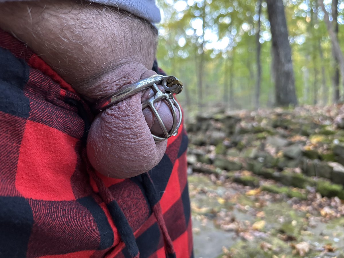 INKinkSwitch's tweet photo. Day 28/?
On a family vacation in the woods for a few days. Still a locked clit for #locktober. #sublife #newnormal #teamlocked @GayChastityRTs https://t.co/eCjkXSTrcG