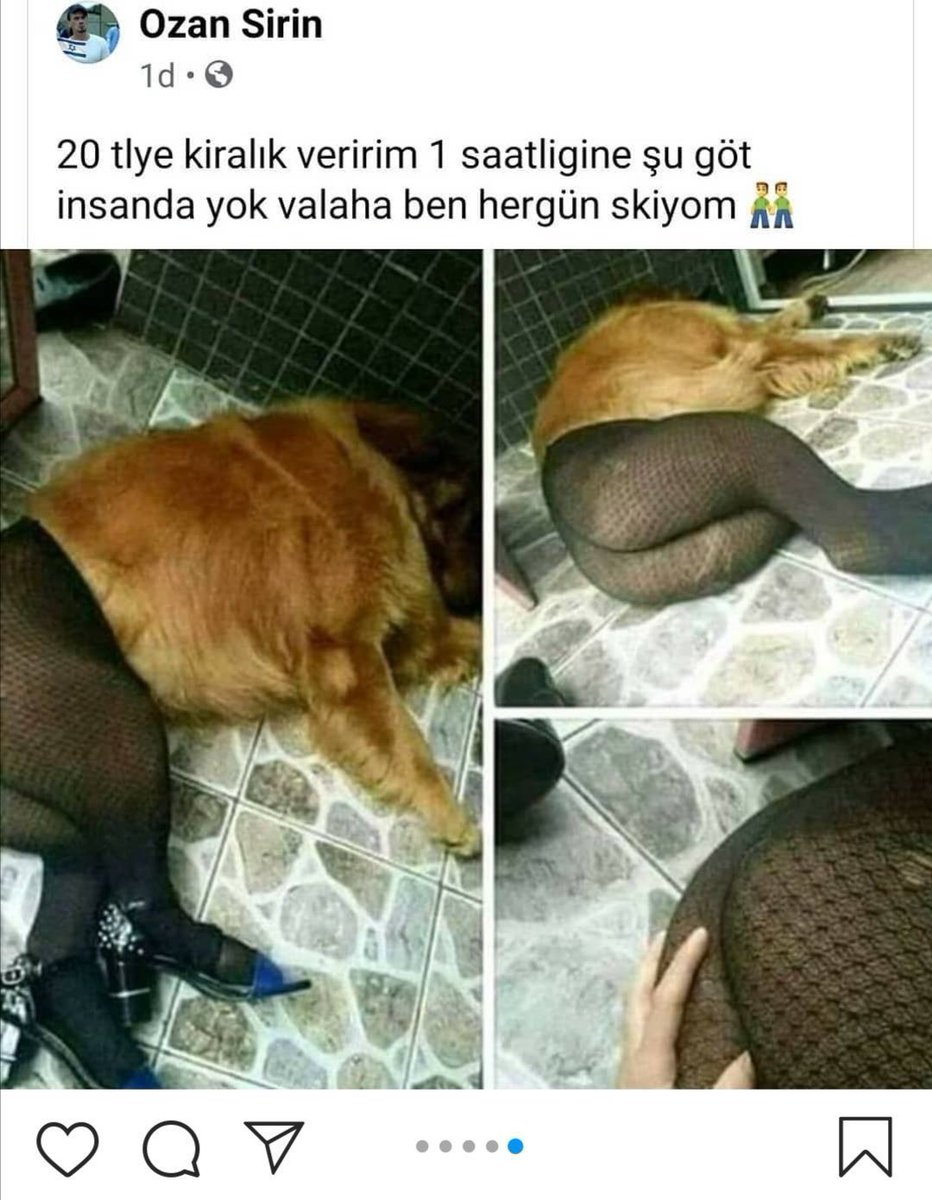 atasnnkz1's tweet photo. Yav eve sadece kağıt geliyor yeahhhhh diyen C31K üyesi paylaşımı
1 yıl önce bunları alın, caydırıcı cezalar verin dediğimiz yaşları ufak diye saldığınız C31K üyesi paylaşımı

#sılabebek #1YearOfGenocide #TurkhisWomenNeedHelp Katil Semih Çelik
#İncel https://t.co/G1ciBNYozQ