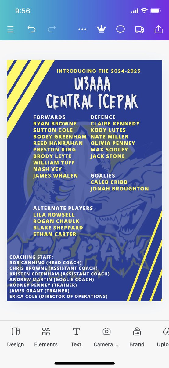 Introducing the finalized roster of the U13 AAA Central Icepak!  Let’s Go Pak!