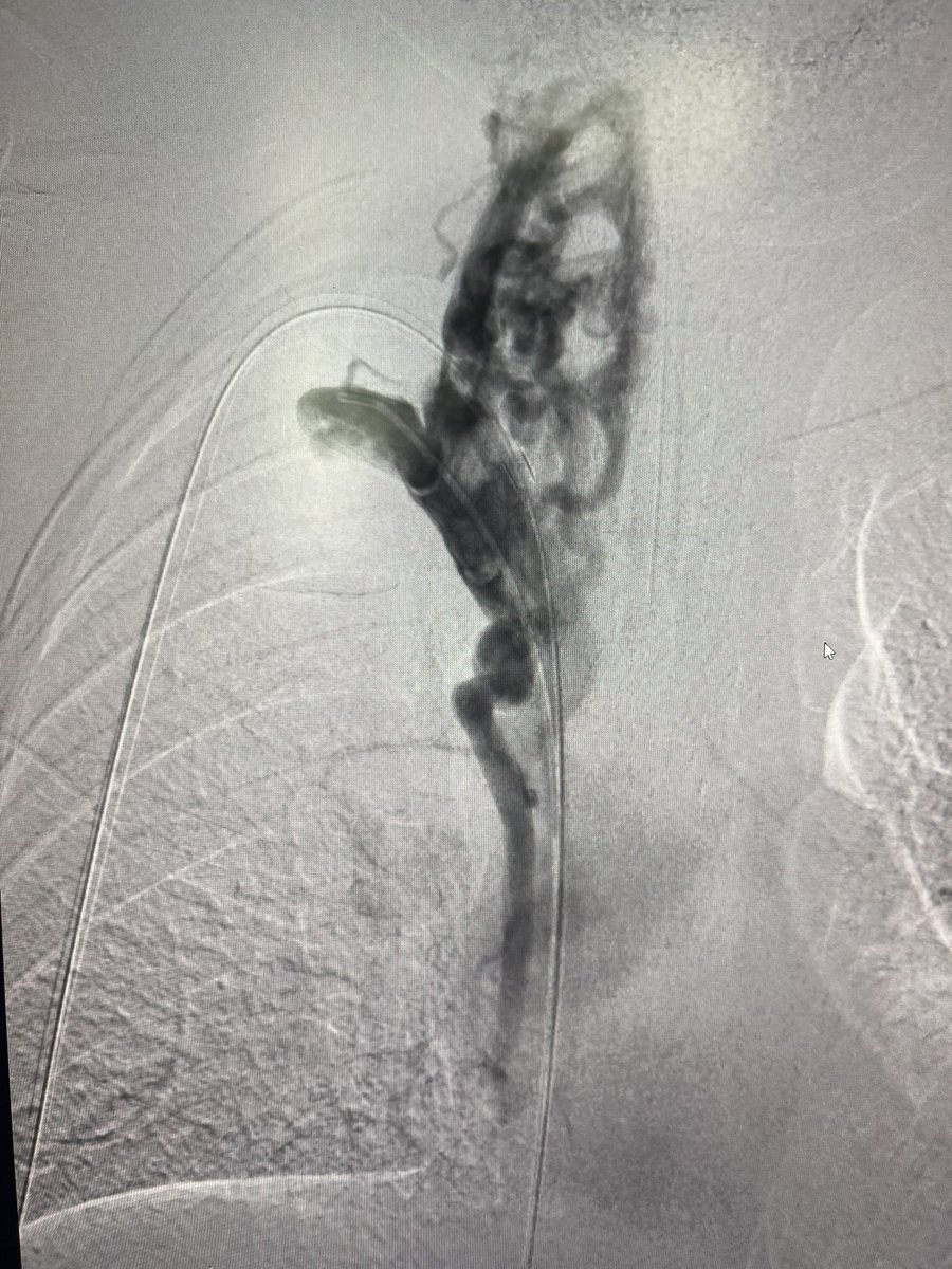 Harris Chengazi tweet media