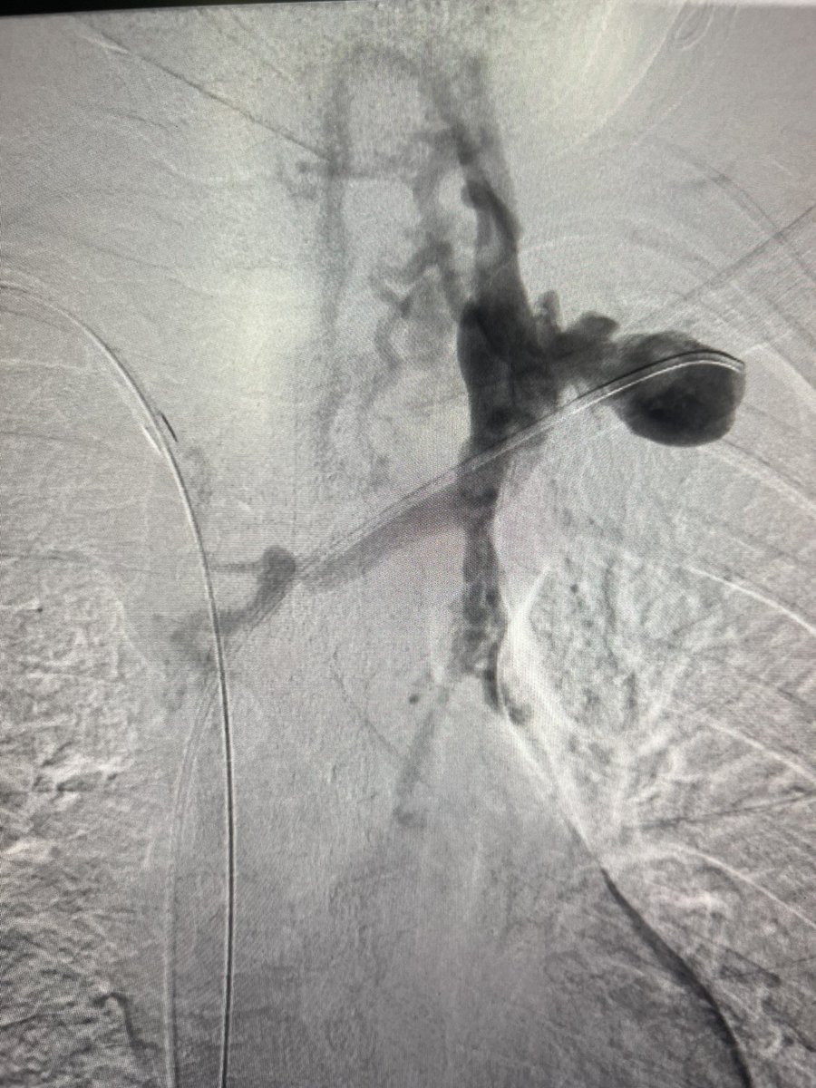 Harris Chengazi tweet media