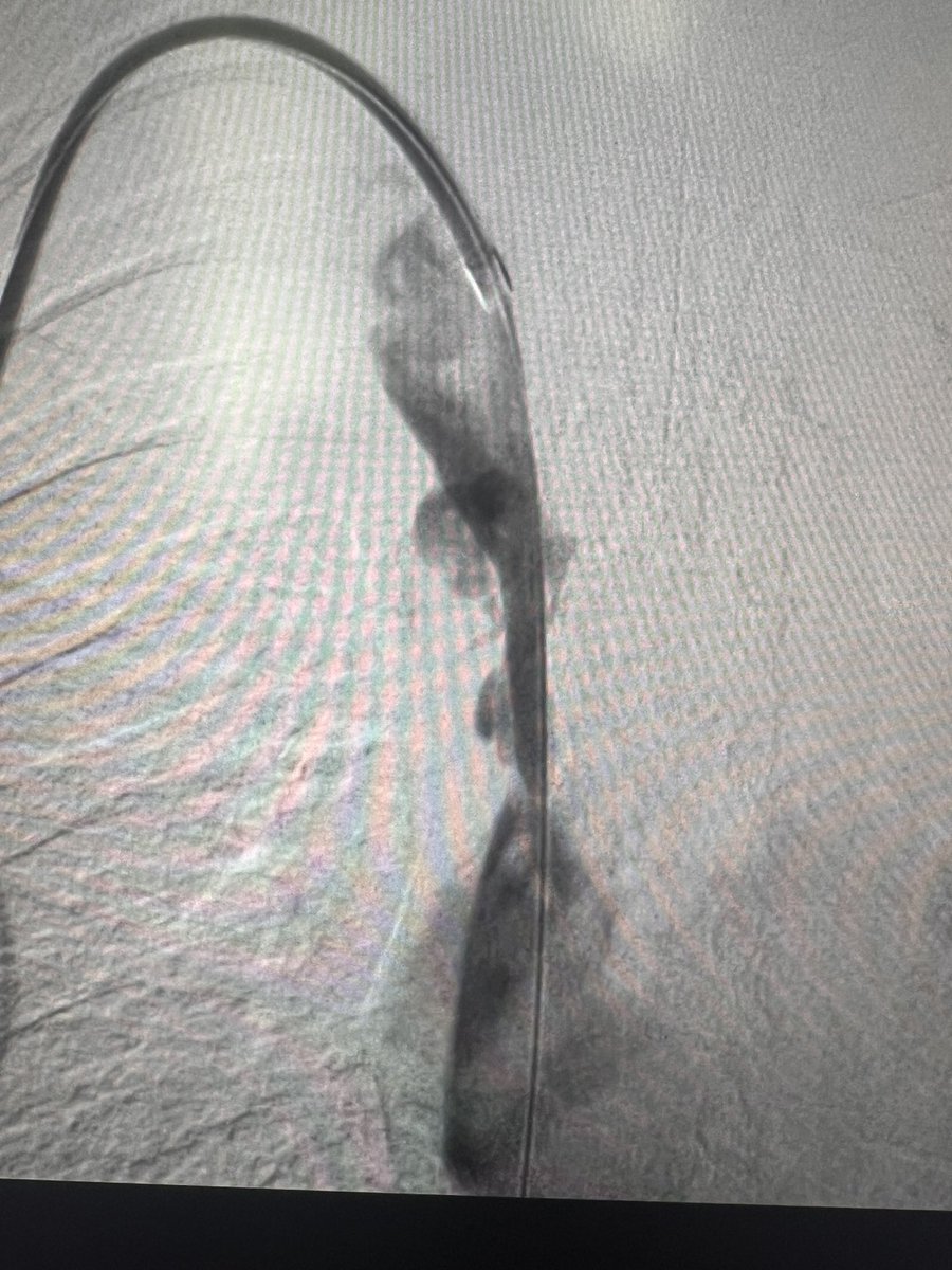 Harris Chengazi tweet media