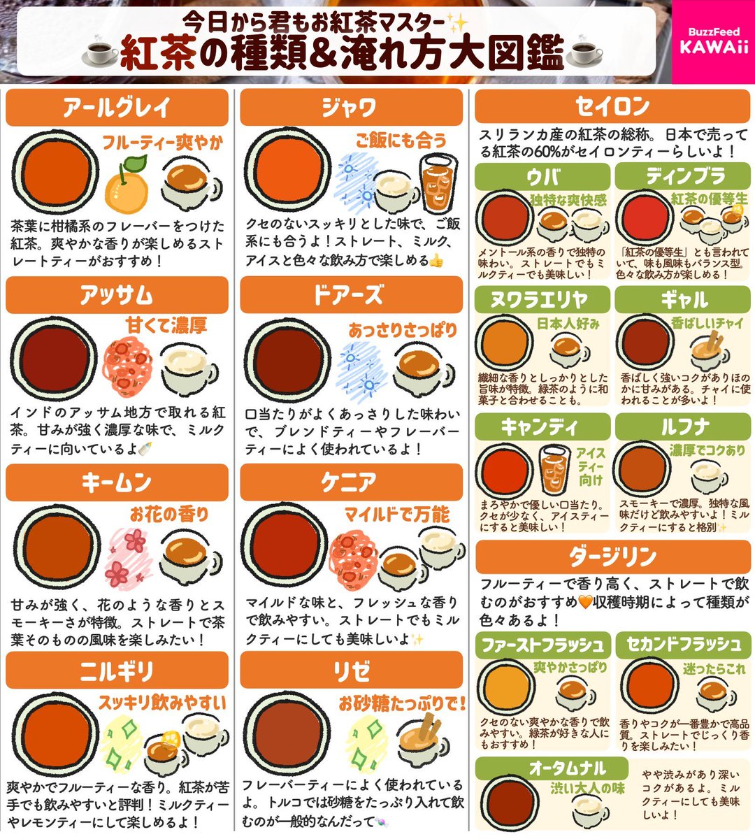 紅茶の種類とおすすめの楽しみ方をまとめました☕️🧡