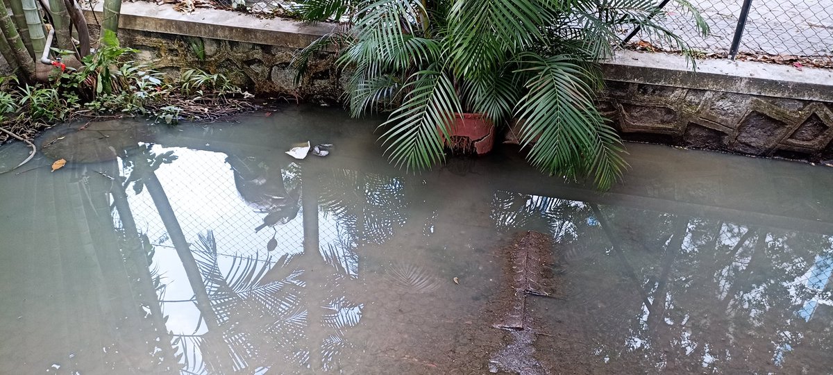 Surendra Kumar tweet media