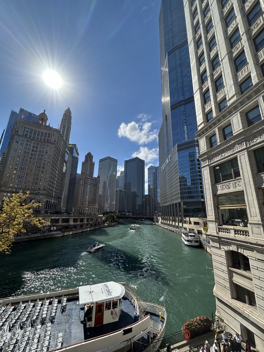 Prof Jochen Prehn tweet media